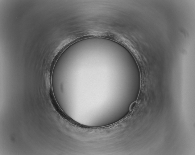 X0000112870011200908281635