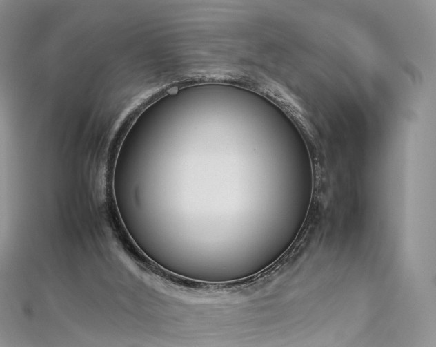 X0000112870012200908281635