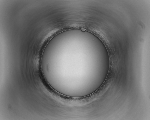 X0000112870016200908281635