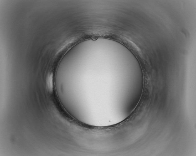 X0000112870020200908281635