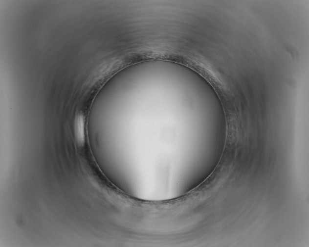 X0000112870022200908281635