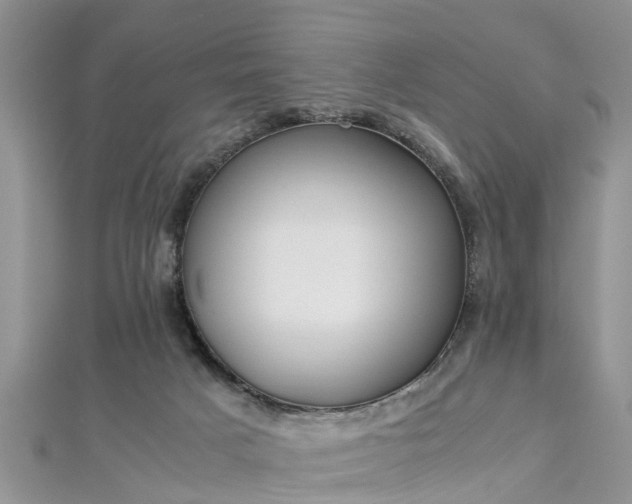 X0000112870025200908281635