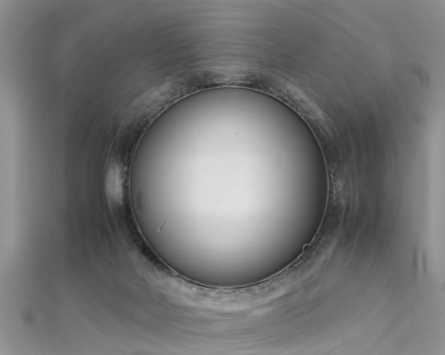 X0000112870026200908281635