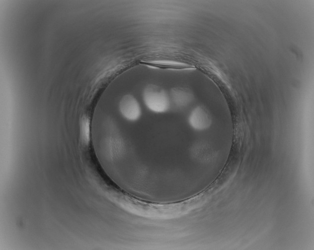 X0000112870027200908281635