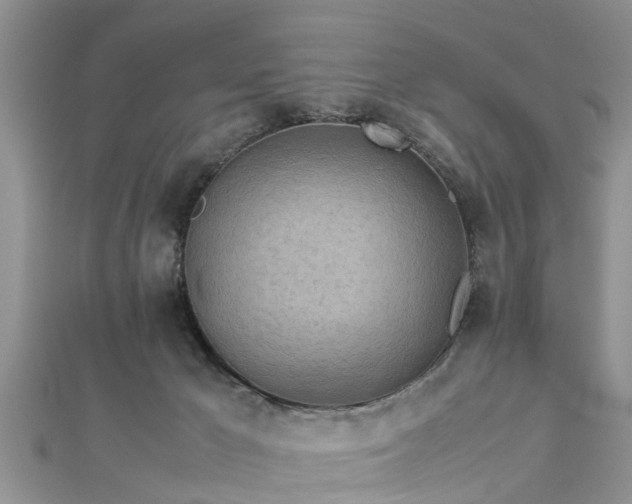 X0000112870029200908281635