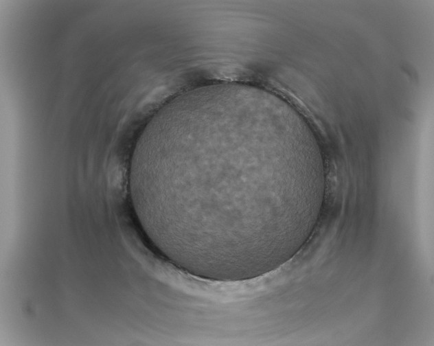 X0000112870031200908281635