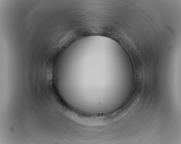 X0000112870032200908281635