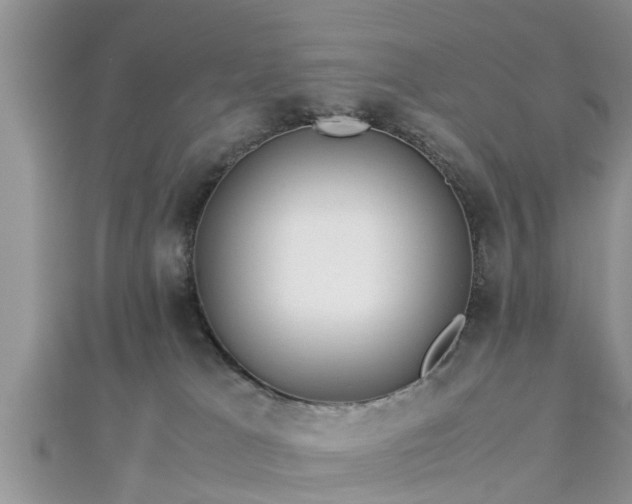 X0000112870037200908281634