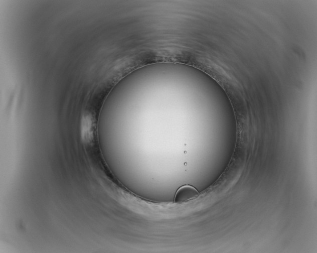 X0000112870038200908281634