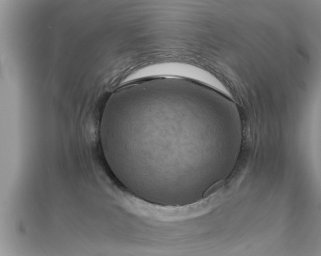 X0000112870039200908281634