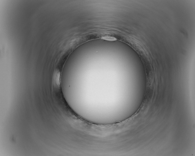 X0000112870041200908281634