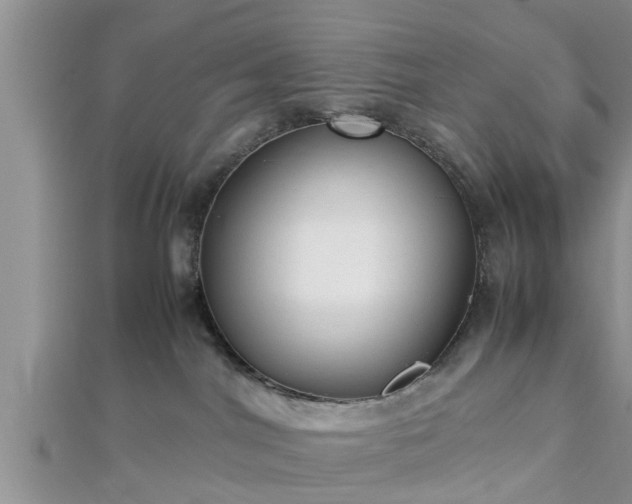 X0000112870044200908281634