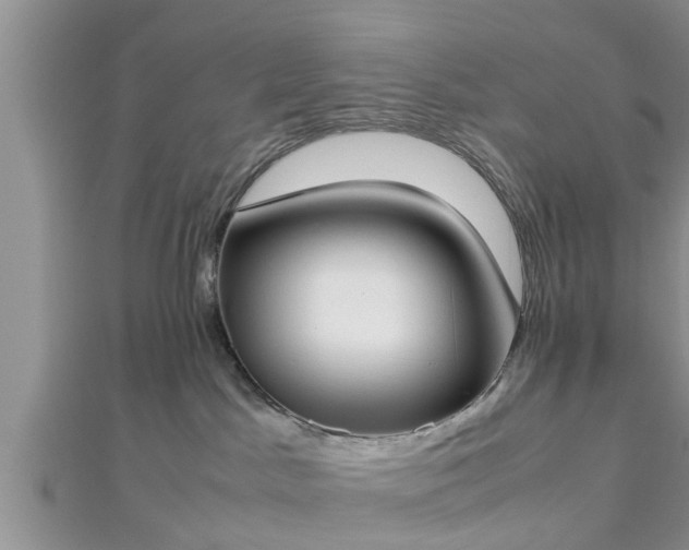 X0000112870045200908281634