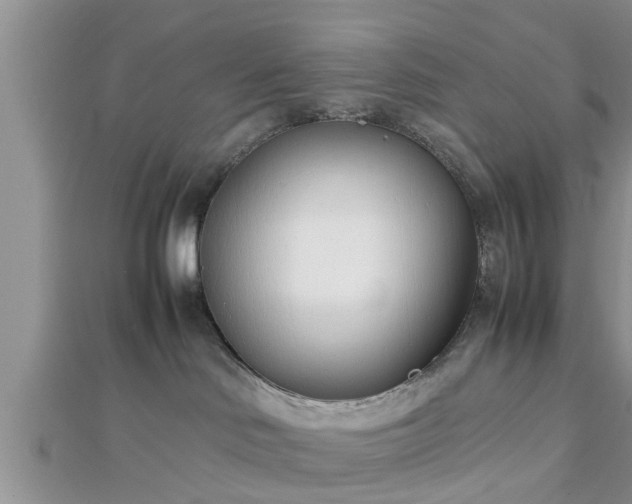 X0000112870046200908281634