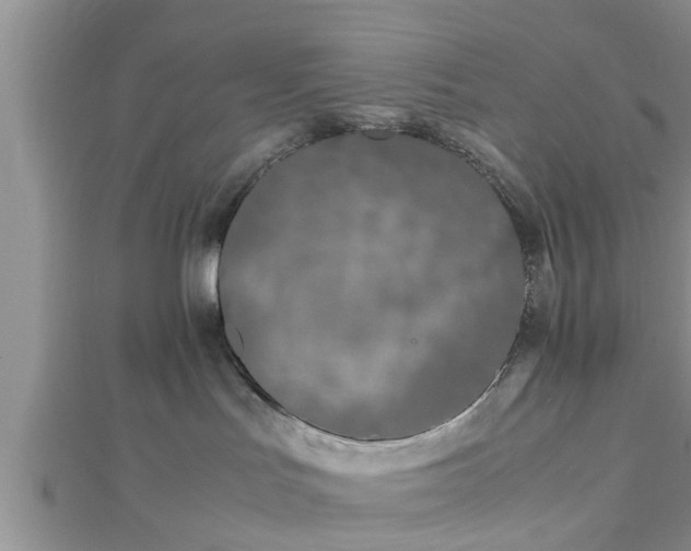 X0000112870047200908281634