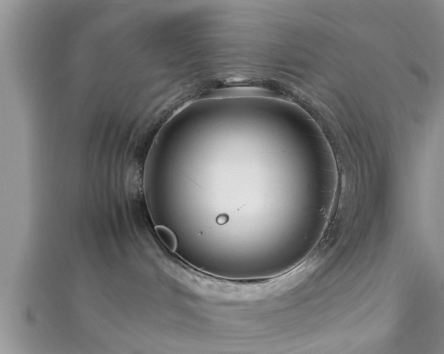 X0000112870048200908281634