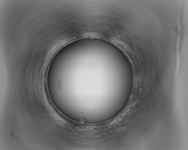 X0000112870049200908281634