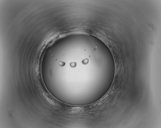 X0000112870050200908281634