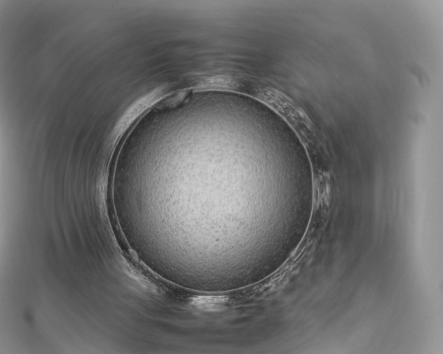 X0000112870051200908281634