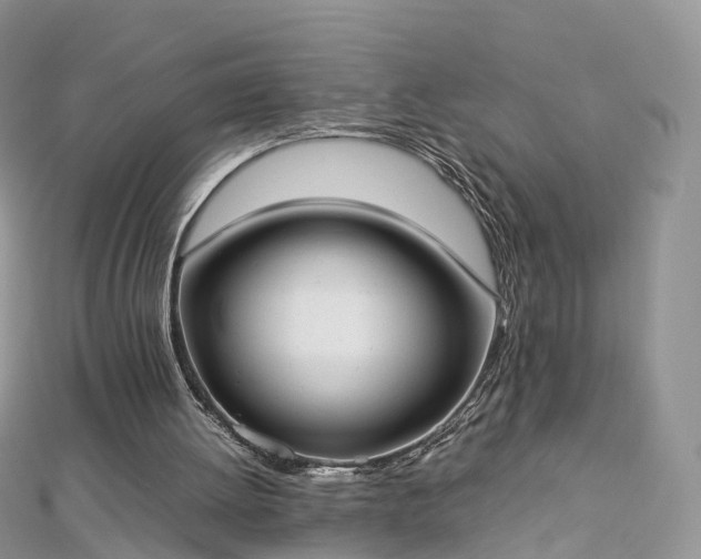 X0000112870052200908281634