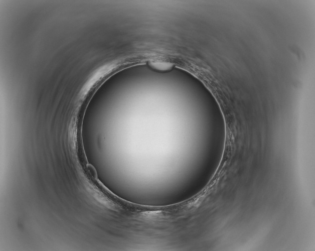 X0000112870054200908281634