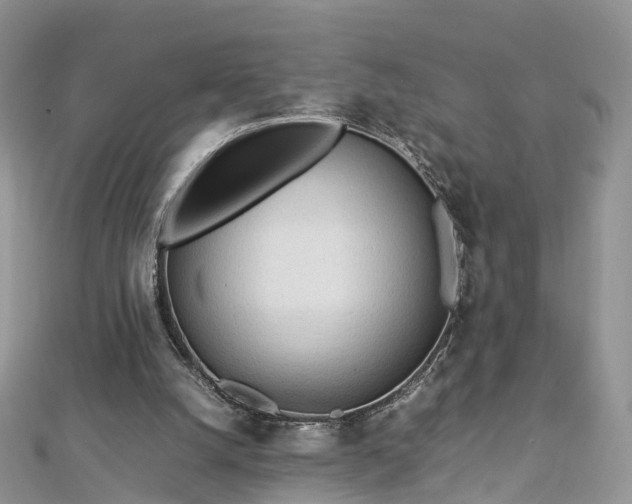 X0000112870056200908281634