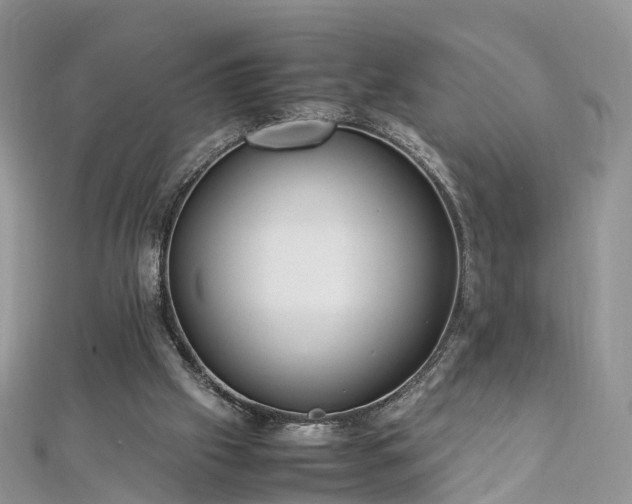 X0000112870057200908281634