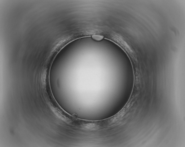 X0000112870058200908281634