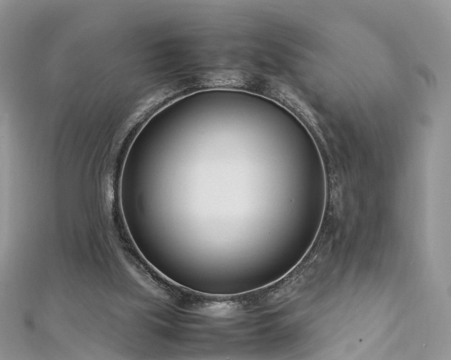 X0000112870059200908281634