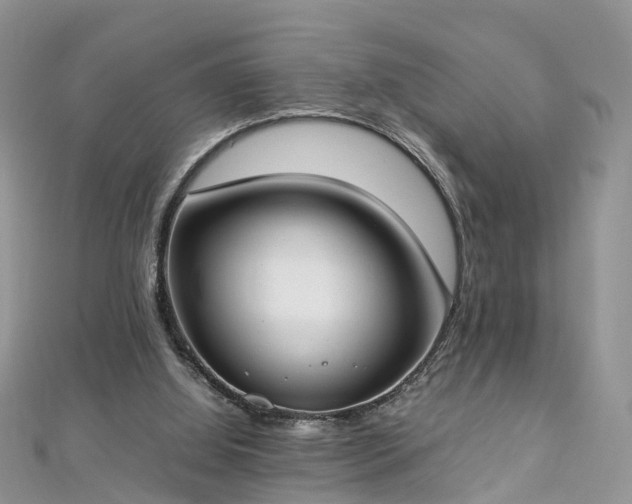 X0000112870060200908281634