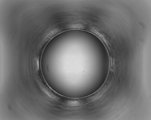 X0000112870061200908281634