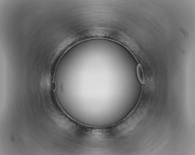 X0000112870064200908281634