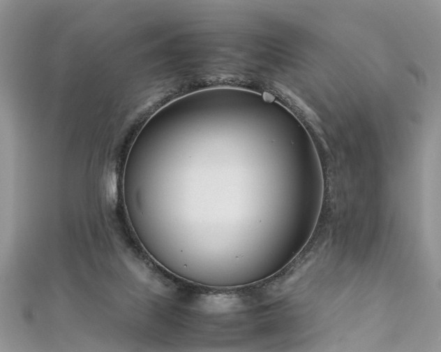 X0000112870067200908281634