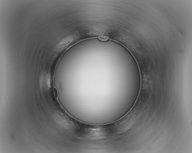 X0000112870068200908281634