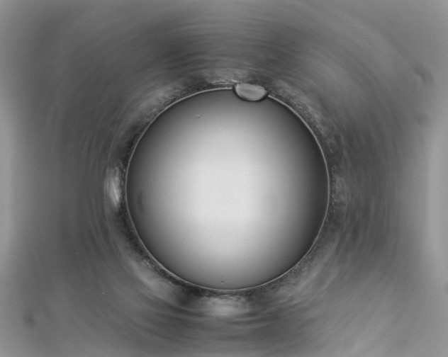 X0000112870069200908281634