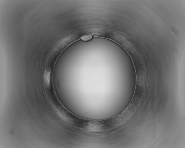 X0000112870070200908281634