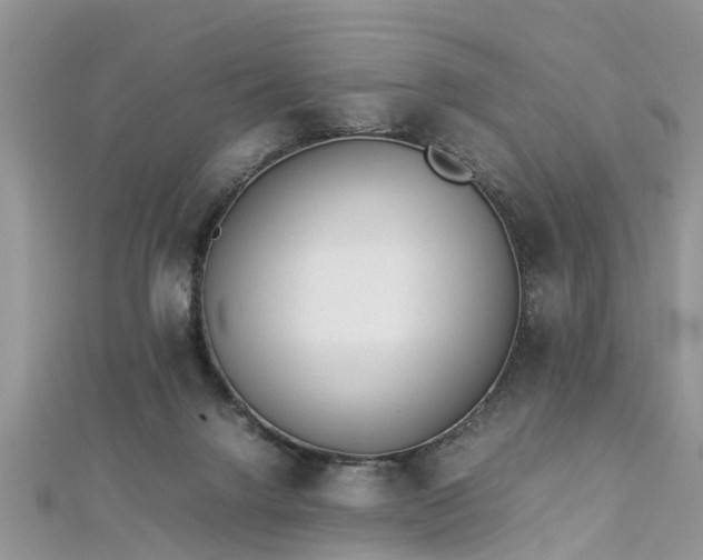 X0000112870072200908281634