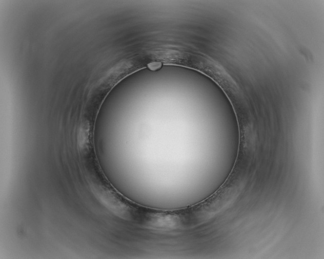 X0000112870073200908281634