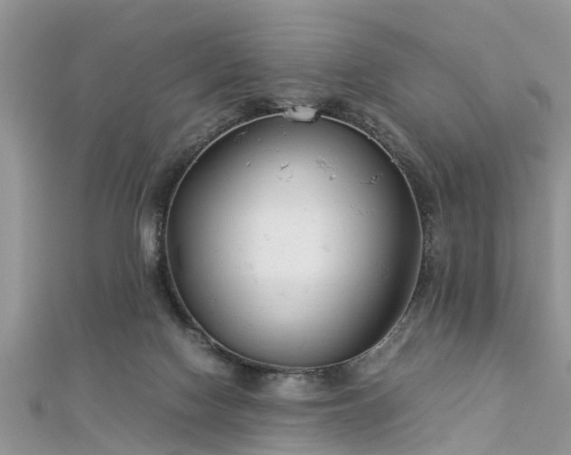 X0000112870074200908281634