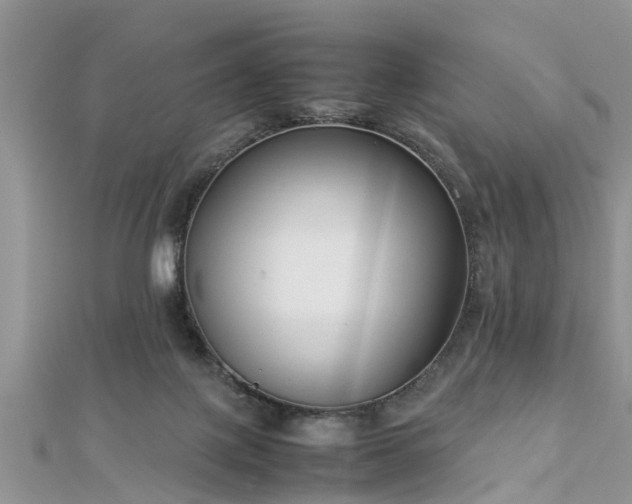 X0000112870075200908281634