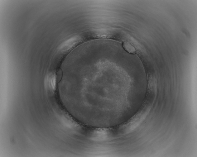 X0000112870076200908281634