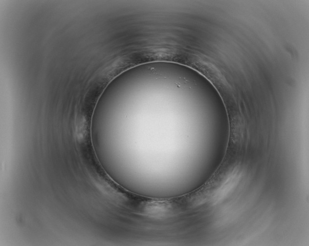 X0000112870077200908281634