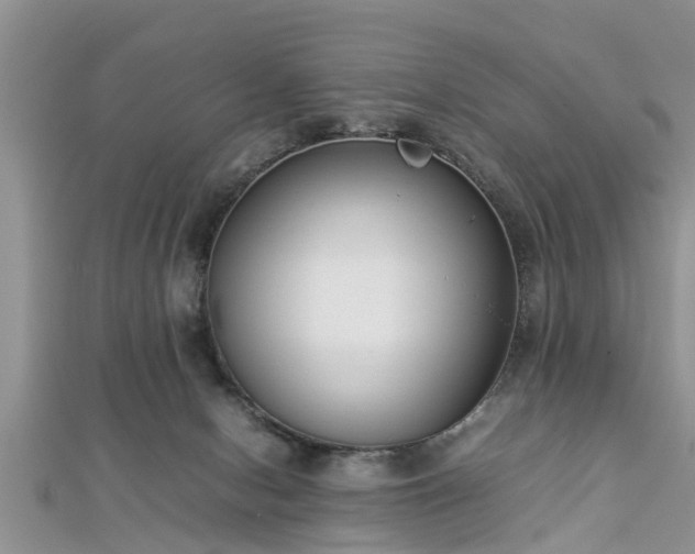 X0000112870078200908281634