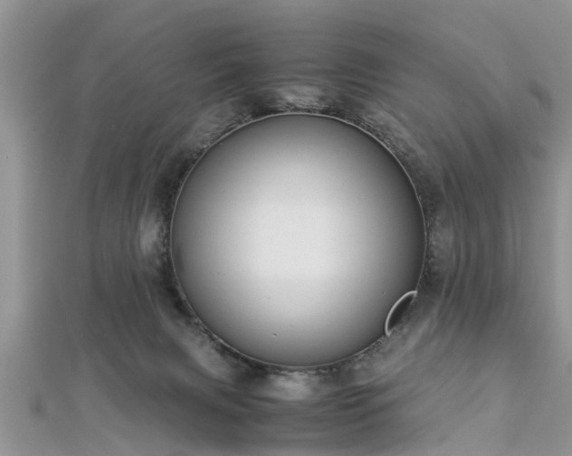 X0000112870079200908281634