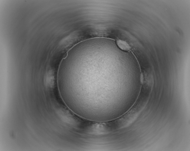 X0000112870080200908281634