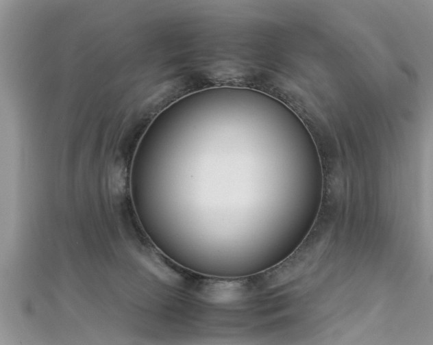 X0000112870081200908281634