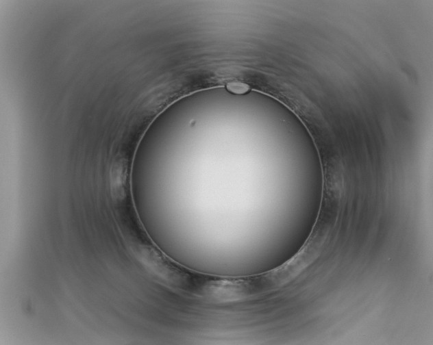 X0000112870082200908281634