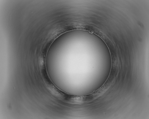 X0000112870084200908281634