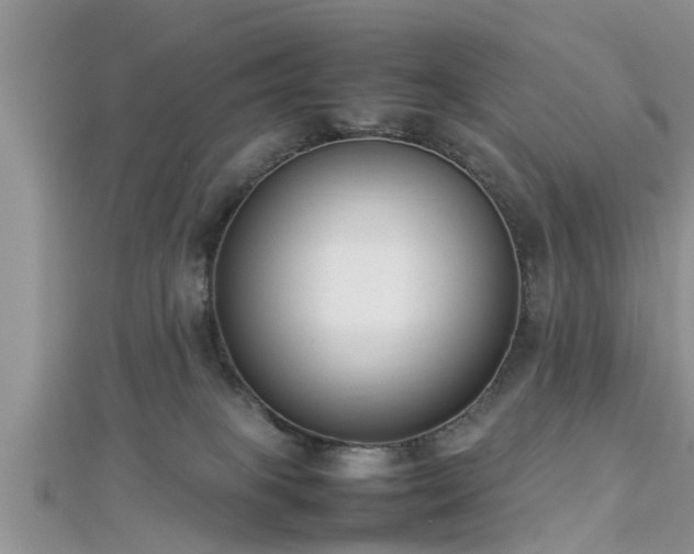 X0000112870085200908281634