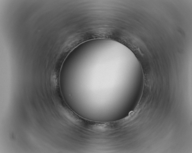 X0000112870086200908281634